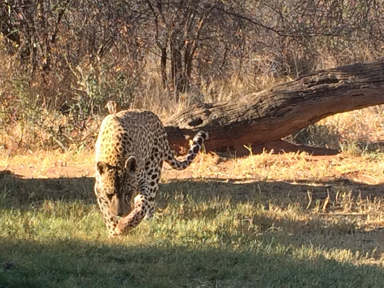 [6035] 2016_06_23_10_30_09_Africa_iPhone_5s_IMG__00327.jpg