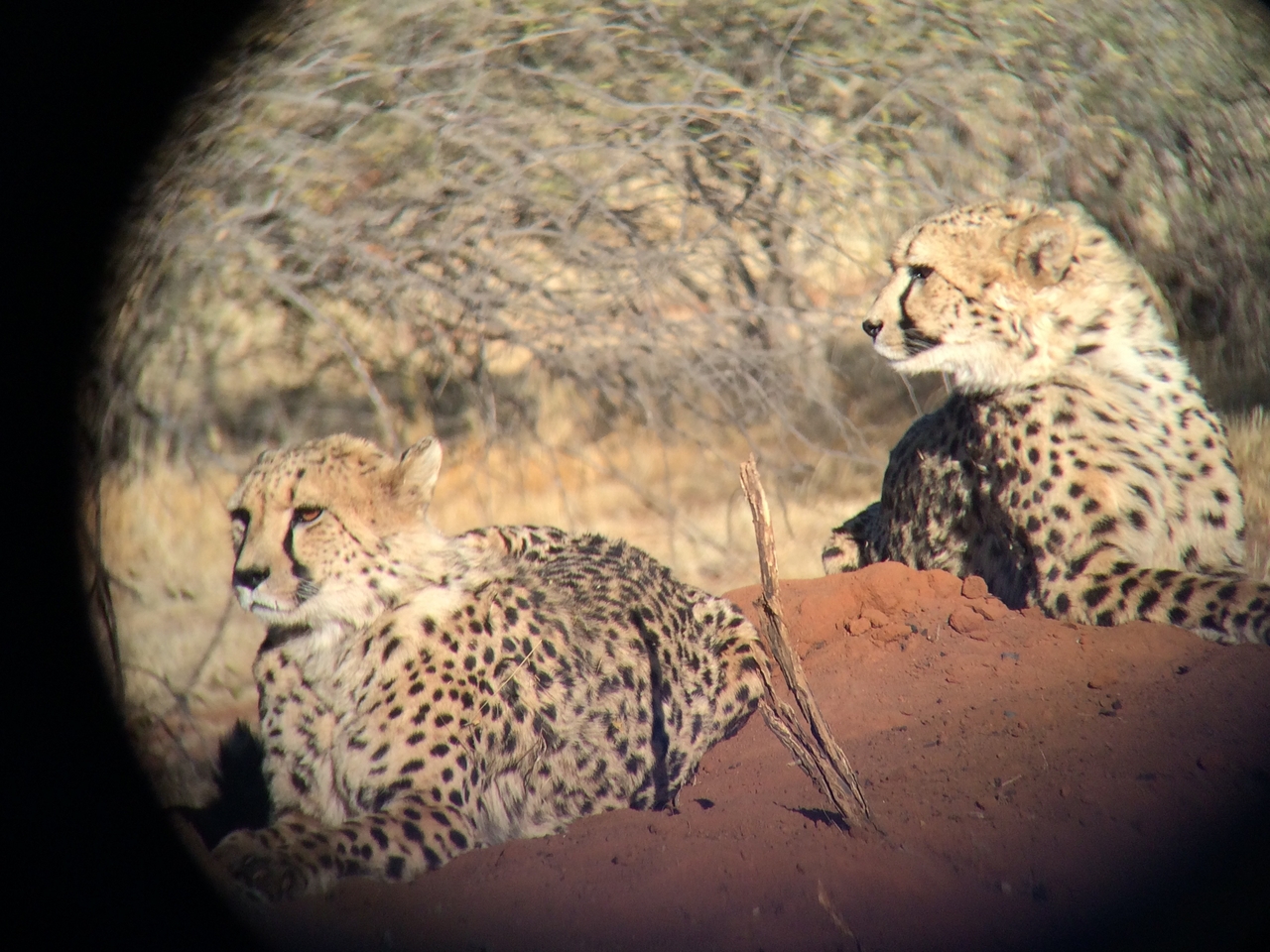 [6588] 2016_06_23_10_55_01_Africa_iPhone_5s_IMG__00335.jpg