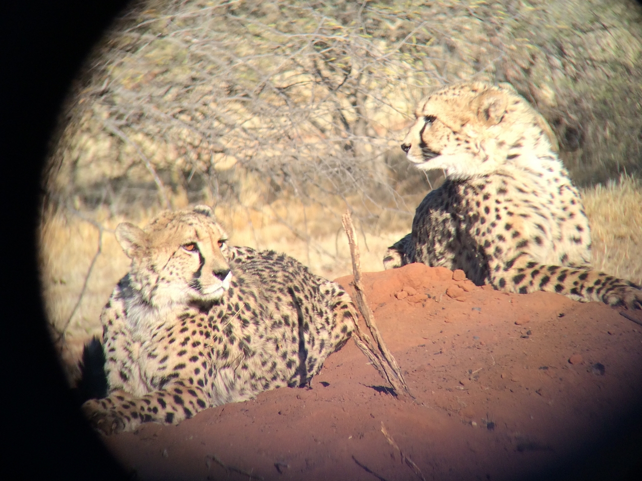 [6591] 2016_06_23_10_55_03_Africa_iPhone_5s_IMG_8194_05950.jpg