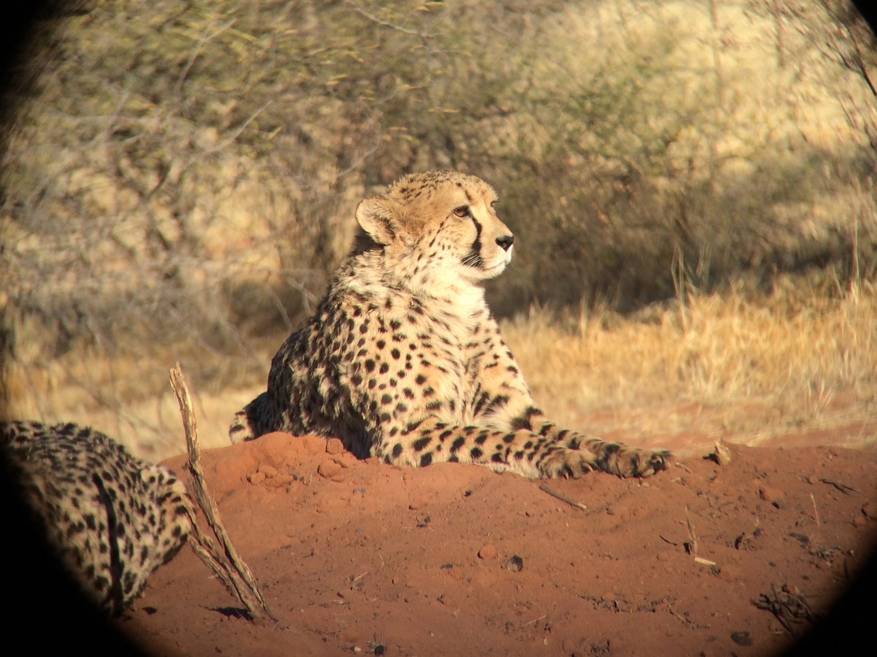 [6626] 2016_06_23_10_55_52_Africa_iPhone_5s_IMG_8196_05954.jpg