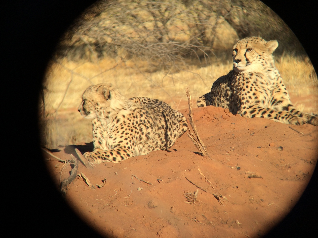 [6779] 2016_06_23_10_59_52_Africa_iPhone_5s_IMG_8202_00348.jpg