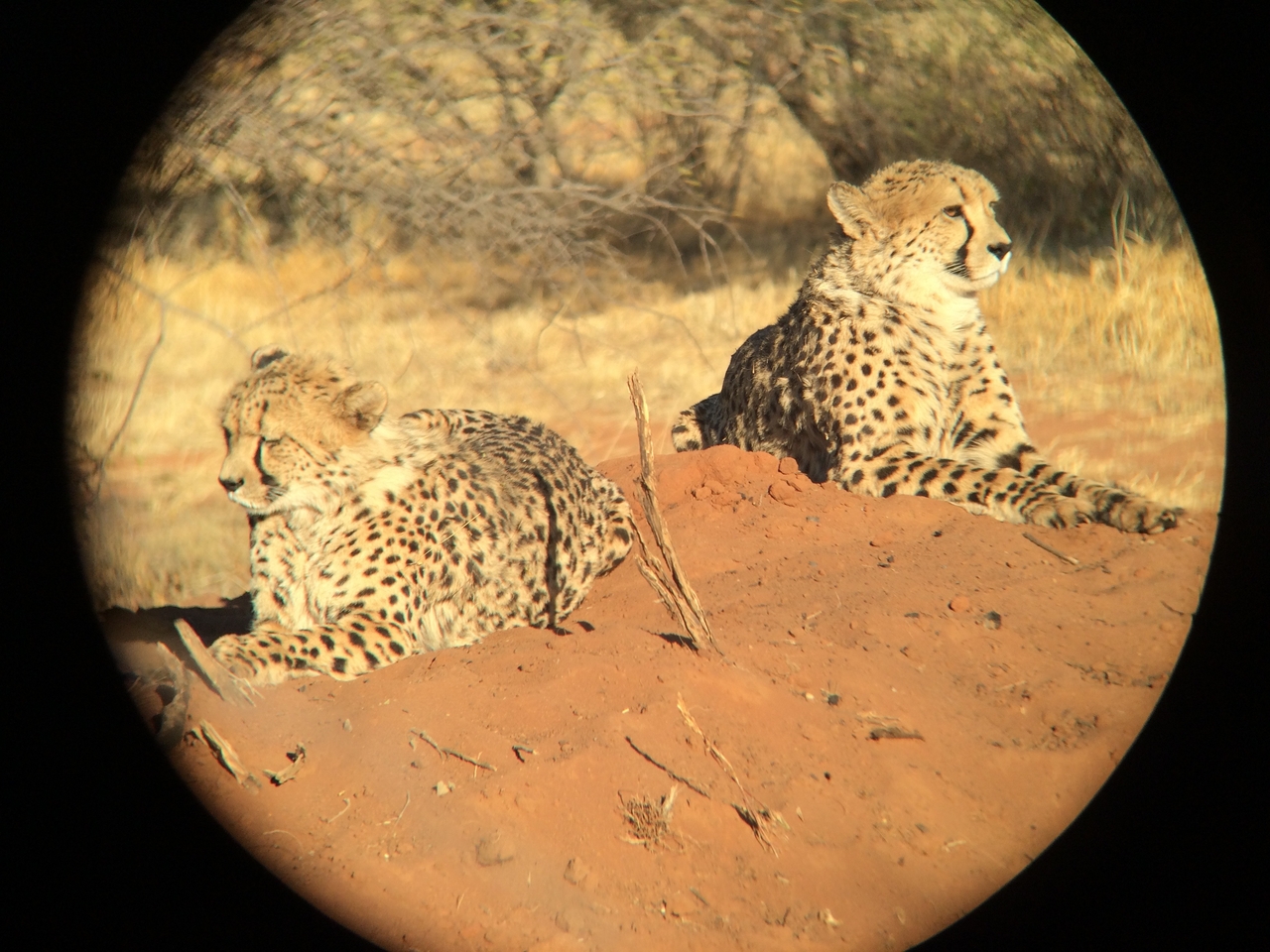 [6837] 2016_06_23_11_00_33_Africa_iPhone_5s_IMG__05965.jpg