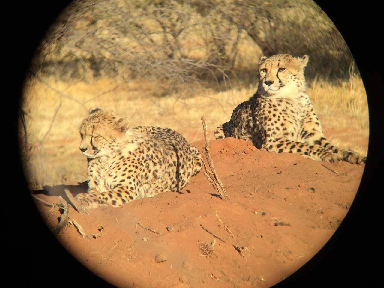 [6843] 2016_06_23_11_00_38_Africa_iPhone_5s_IMG_8208_05968.jpg