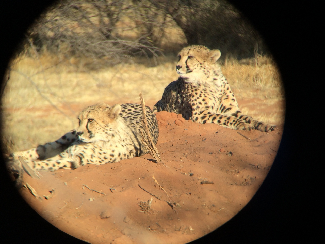 [6981] 2016_06_23_11_07_21_Africa_iPhone_5s_IMG__00359.jpg