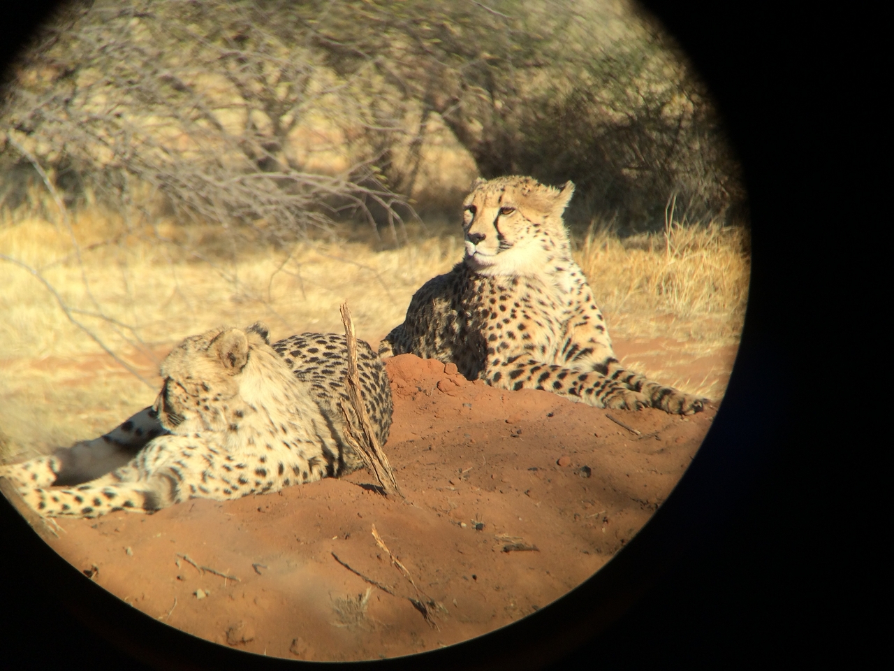 [6991] 2016_06_23_11_07_57_Africa_iPhone_5s_IMG__00361.jpg