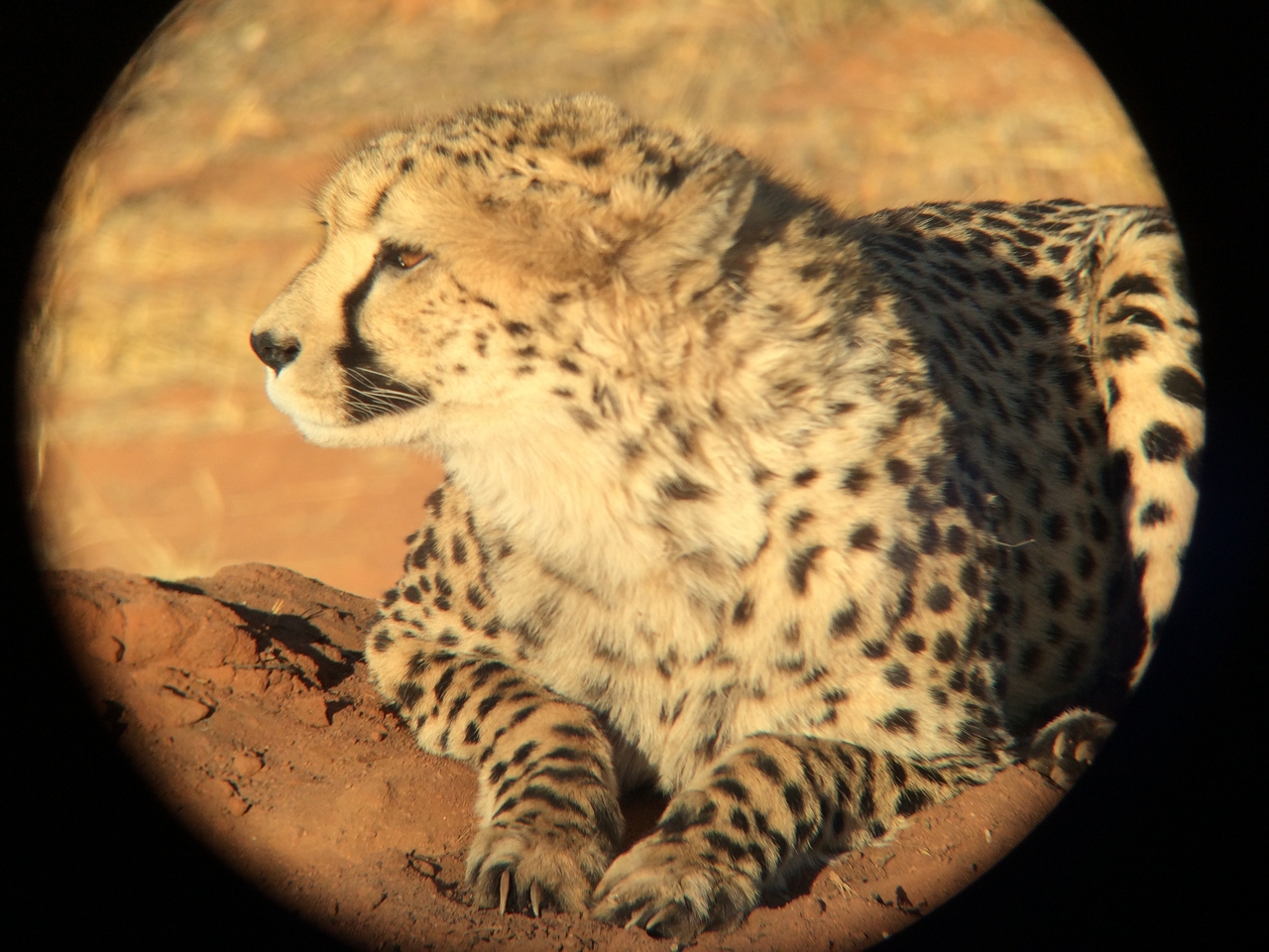 [7118] 2016_06_23_11_14_29_Africa_iPhone_5s_IMG__05987.jpg