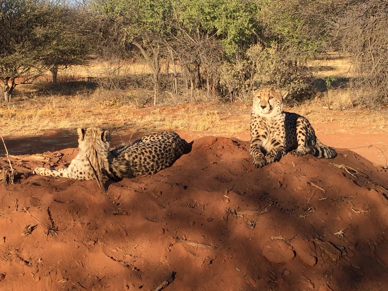 [7125] 2016_06_23_11_15_08_Africa_iPhone_5s_IMG__00377.jpg