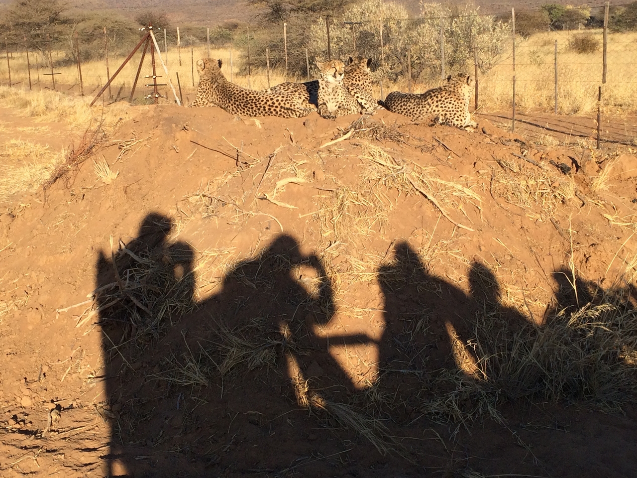 [7146] 2016_06_23_11_20_34_Africa_iPhone_5s_IMG_8222_00380.jpg