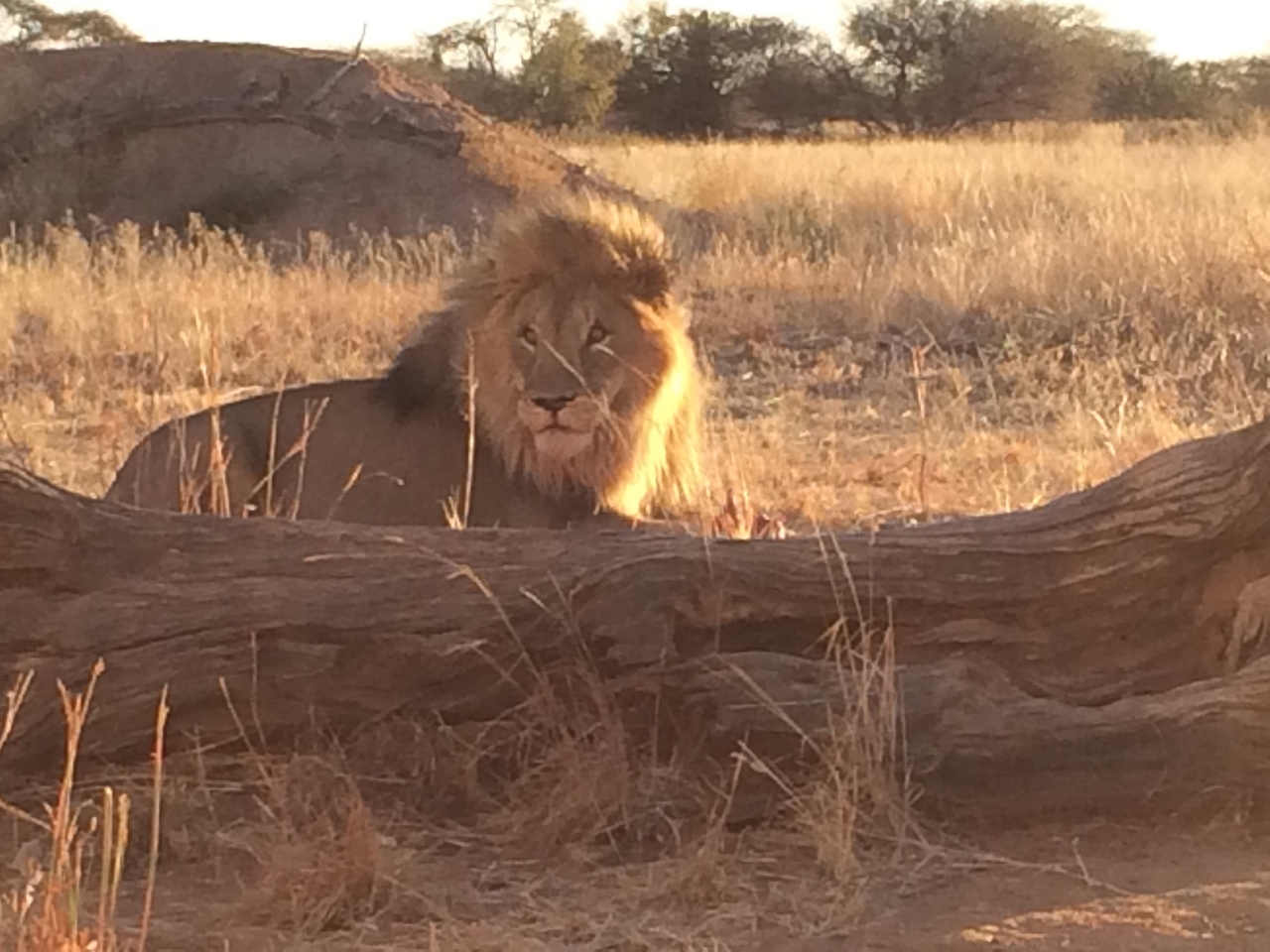 [7830] 2016_06_23_11_46_21_Africa_iPhone_5s_IMG__00397.jpg