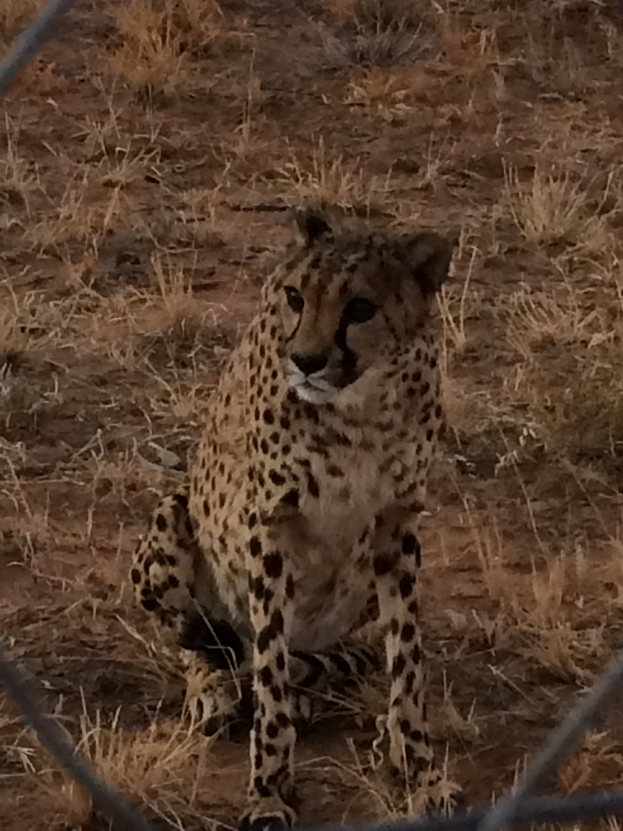 [8953] 2016_06_23_12_28_32_Africa_iPhone_5s_IMG_8260_06046.jpg