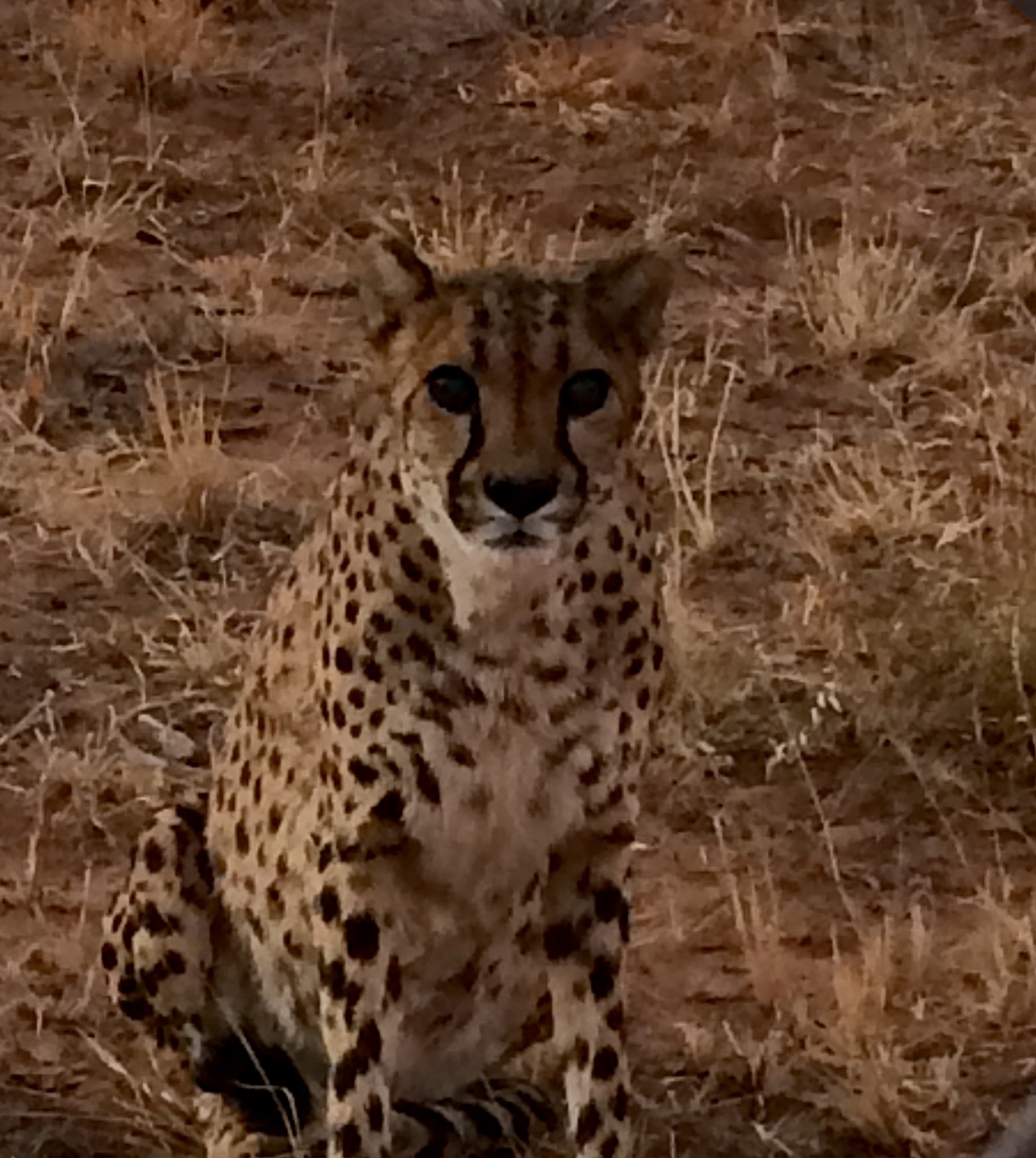 [8958] 2016_06_23_12_28_39_Africa_iPhone_5s_IMG__00435.jpg