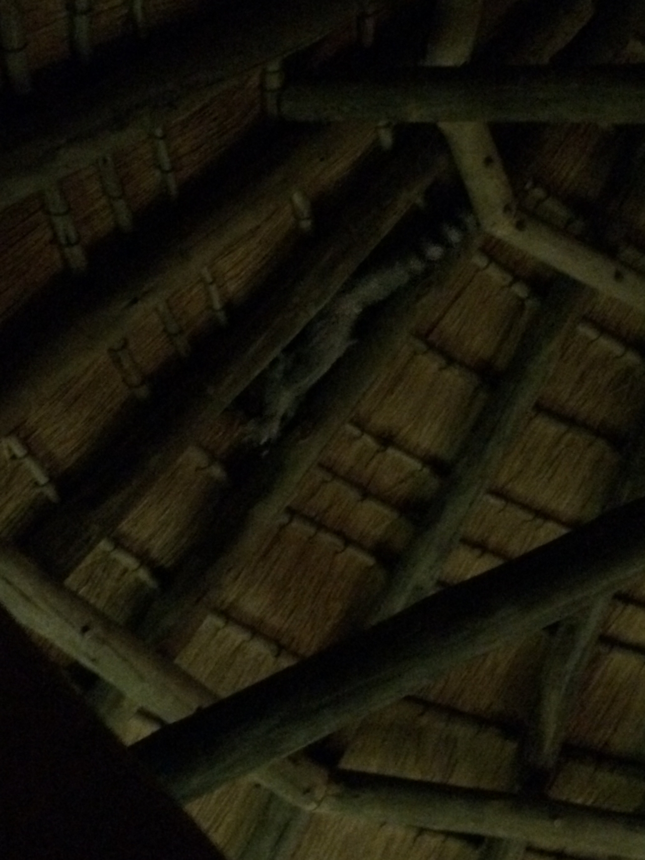 [9570] 2016_06_23_17_51_30_Africa_iPhone_5s_IMG_8267_00446.jpg