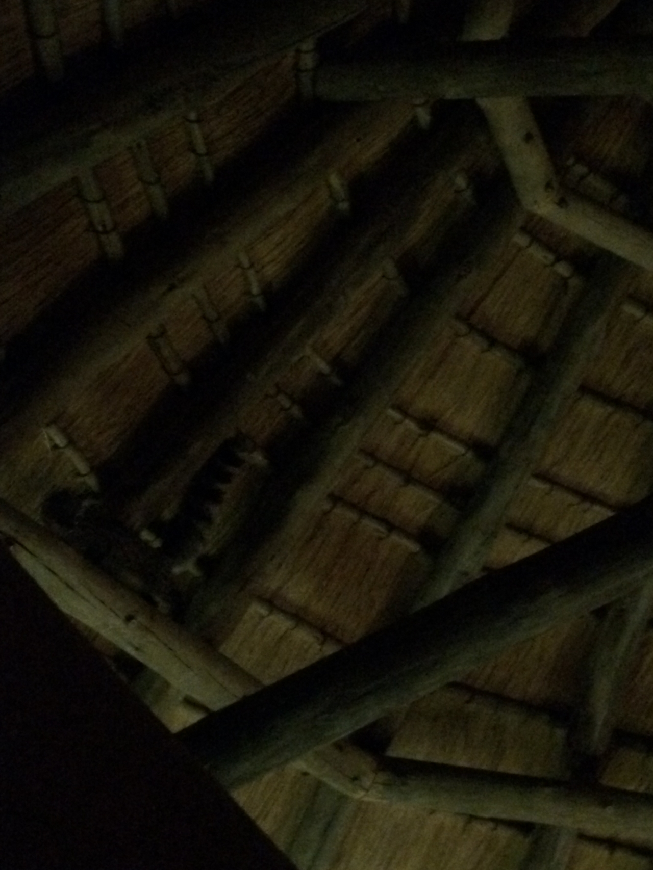 [9576] 2016_06_23_17_51_31_Africa_iPhone_5s_IMG__00449.jpg