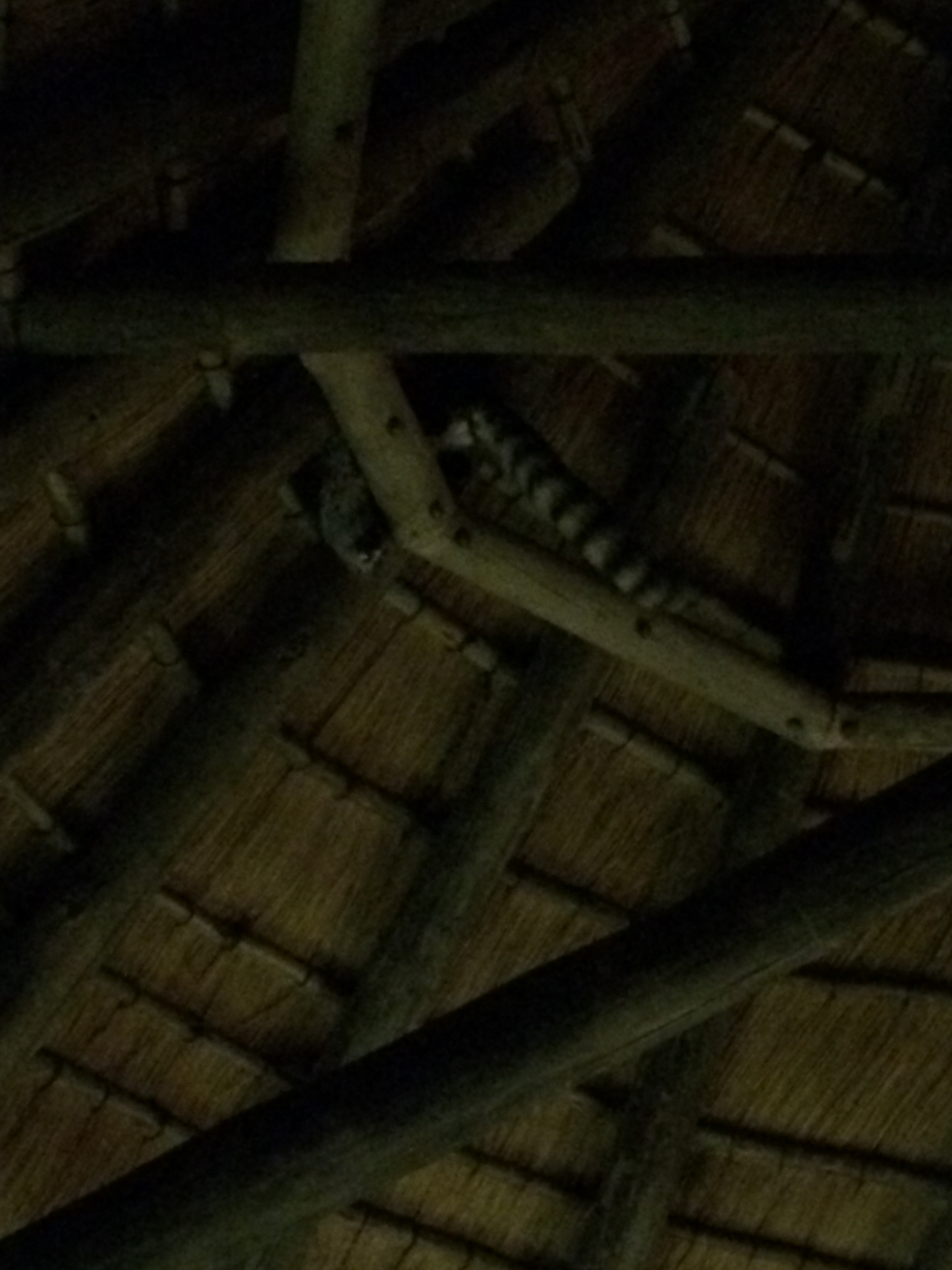 [9599] 2016_06_23_17_53_34_Africa_iPhone_5s_IMG_8275_06074.jpg