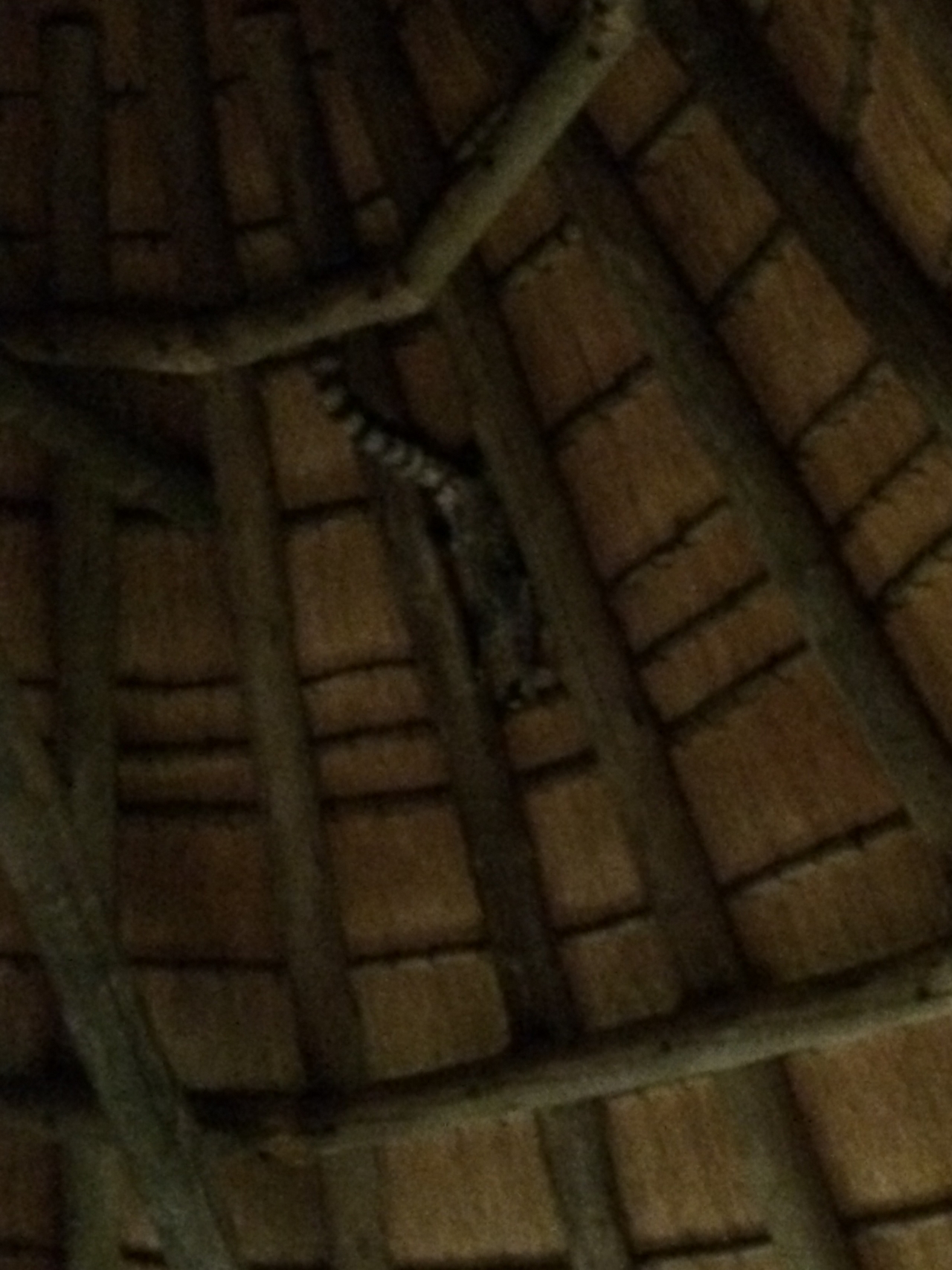 [9605] 2016_06_23_17_53_55_Africa_iPhone_5s_IMG__06077.jpg