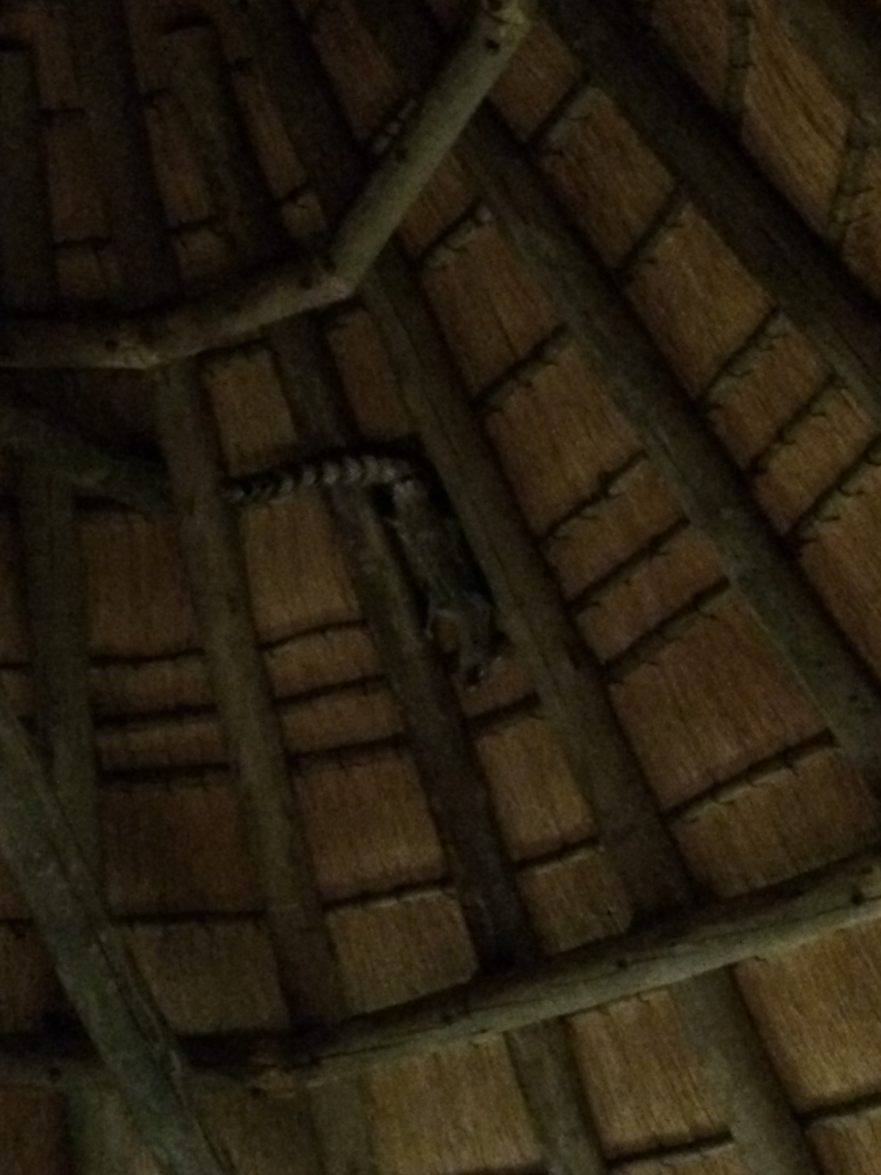 [9612] 2016_06_23_17_54_00_Africa_iPhone_5s_IMG__00467.jpg