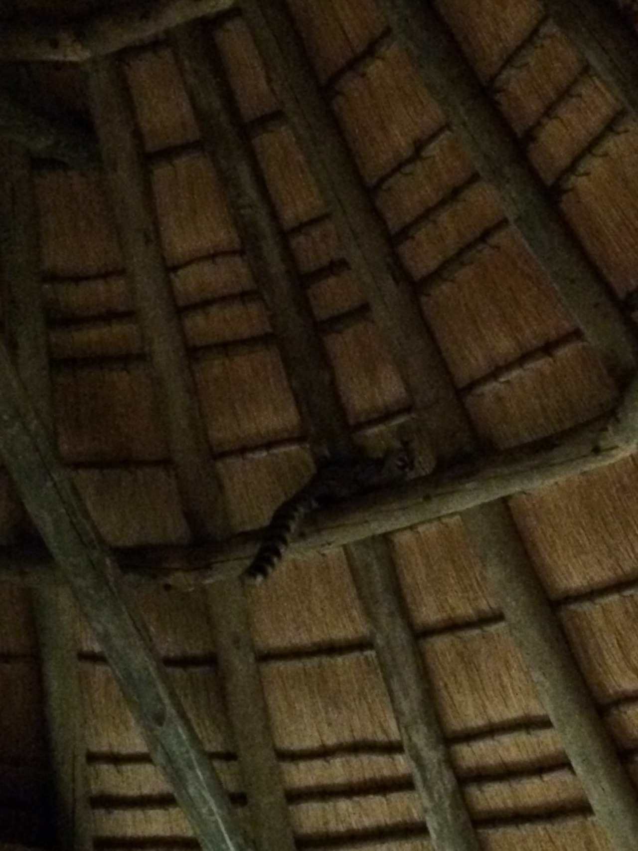 [9616] 2016_06_23_17_54_06_Africa_iPhone_5s_IMG__00469.jpg