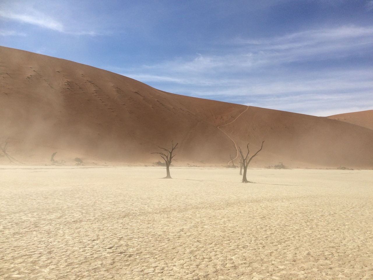 [15363] 2016_06_25_05_07_48_Africa_iPhone_5s_IMG_8355_06172.jpg