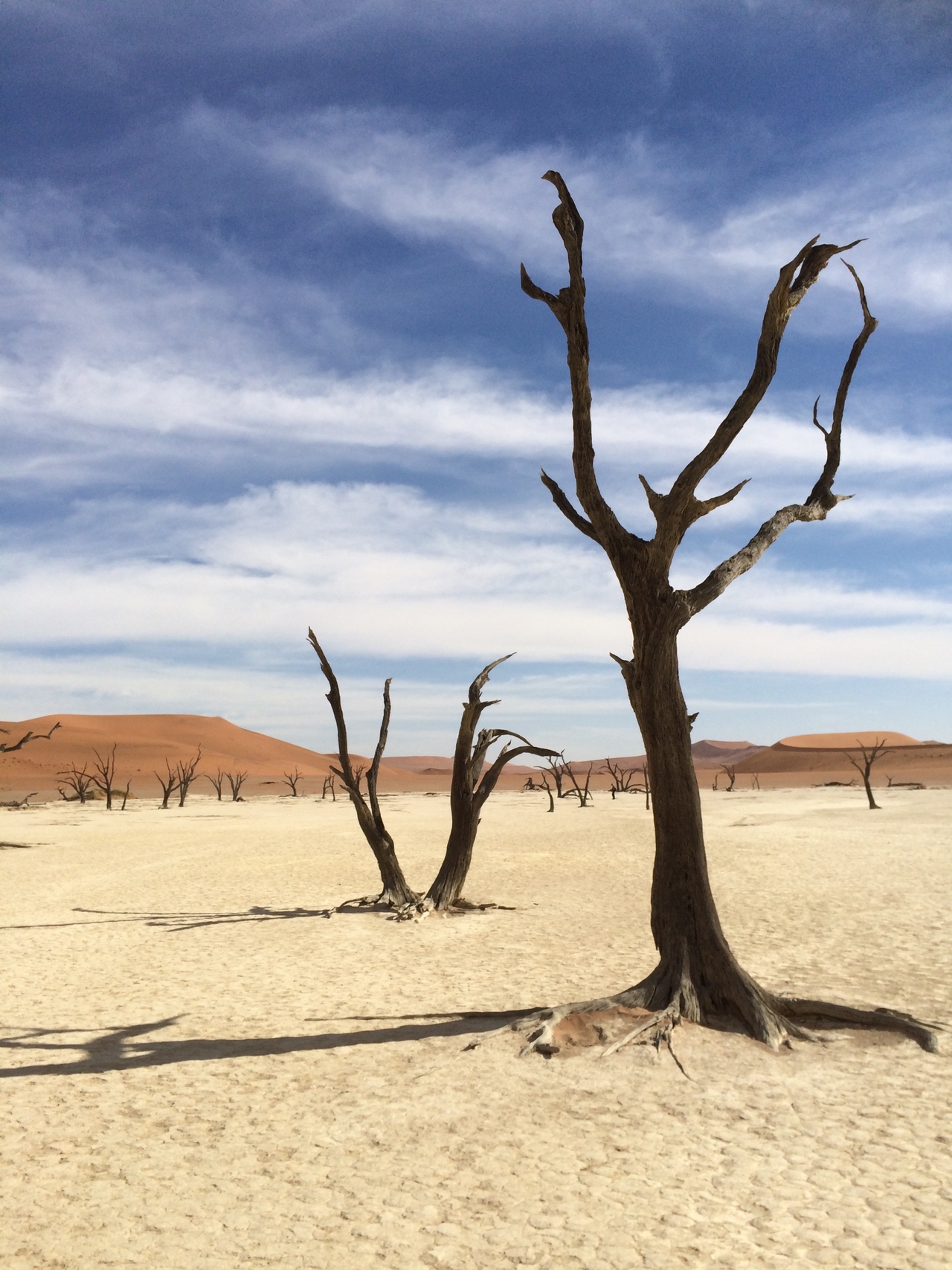 [15370] 2016_06_25_05_22_00_Africa_iPhone_5s_IMG__00561.jpg