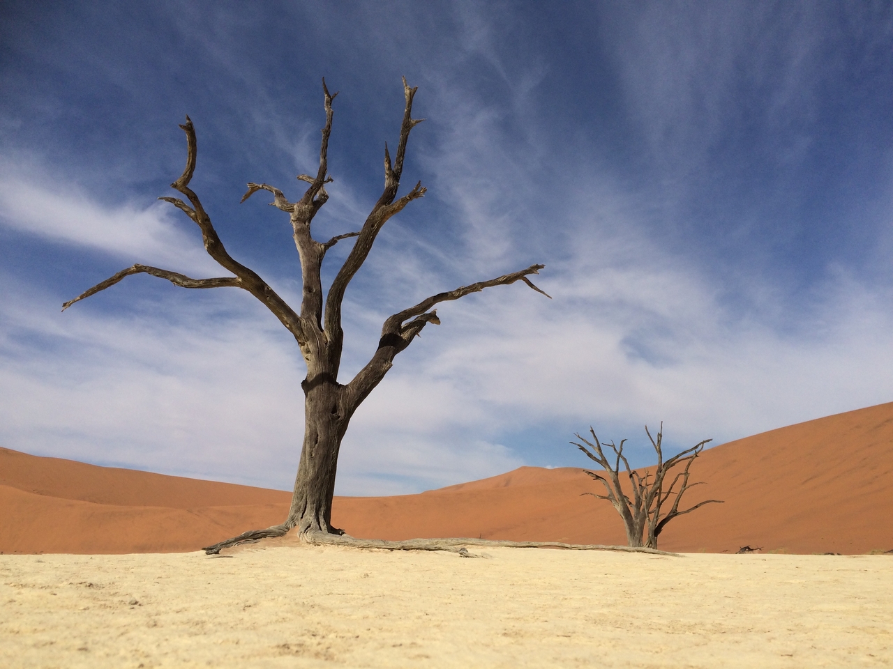 [15379] 2016_06_25_05_23_03_Africa_iPhone_5s_IMG_8358_06178.jpg