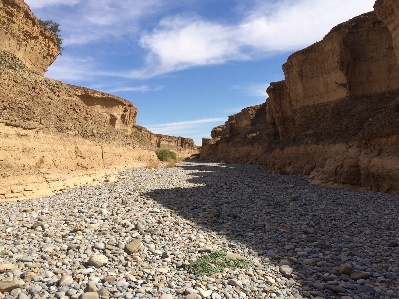 [15472] 2016_06_25_07_19_22_Africa_iPhone_5s_IMG__00579.jpg