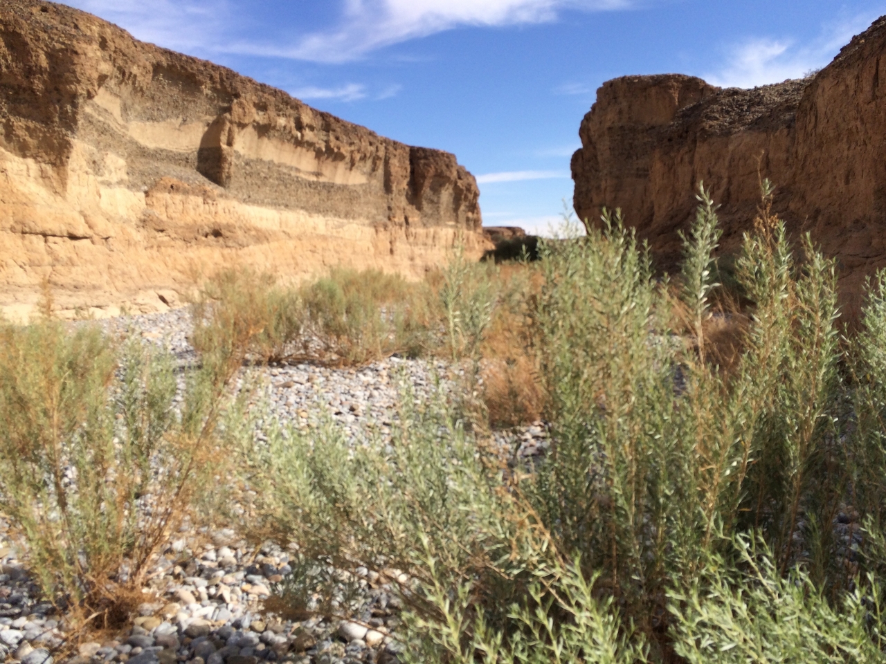 [15502] 2016_06_25_07_22_56_Africa_iPhone_5s_IMG__00585.jpg