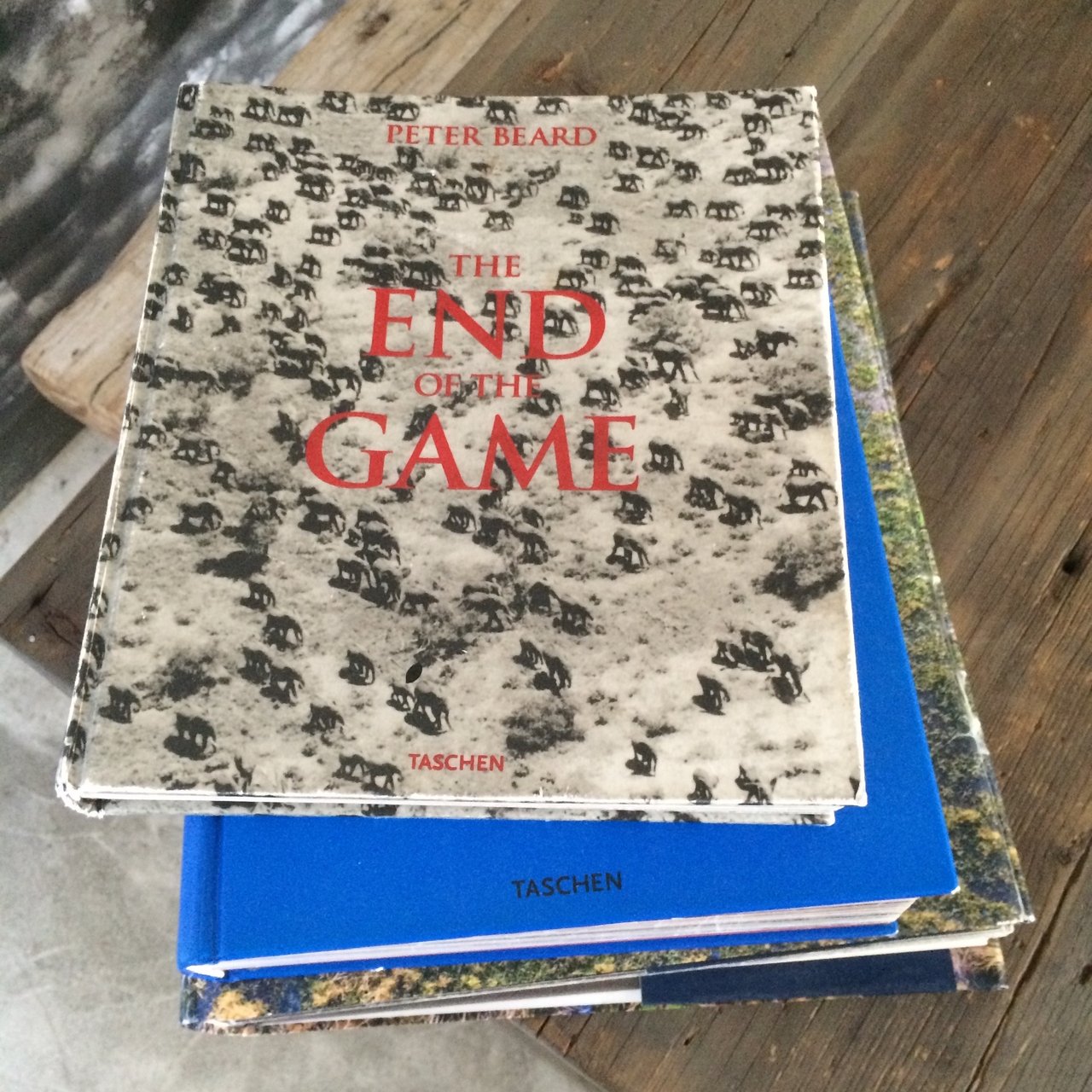 [16439] 2016_06_26_09_43_34_Africa_iPhone_5s_IMG_8402_00638.jpg