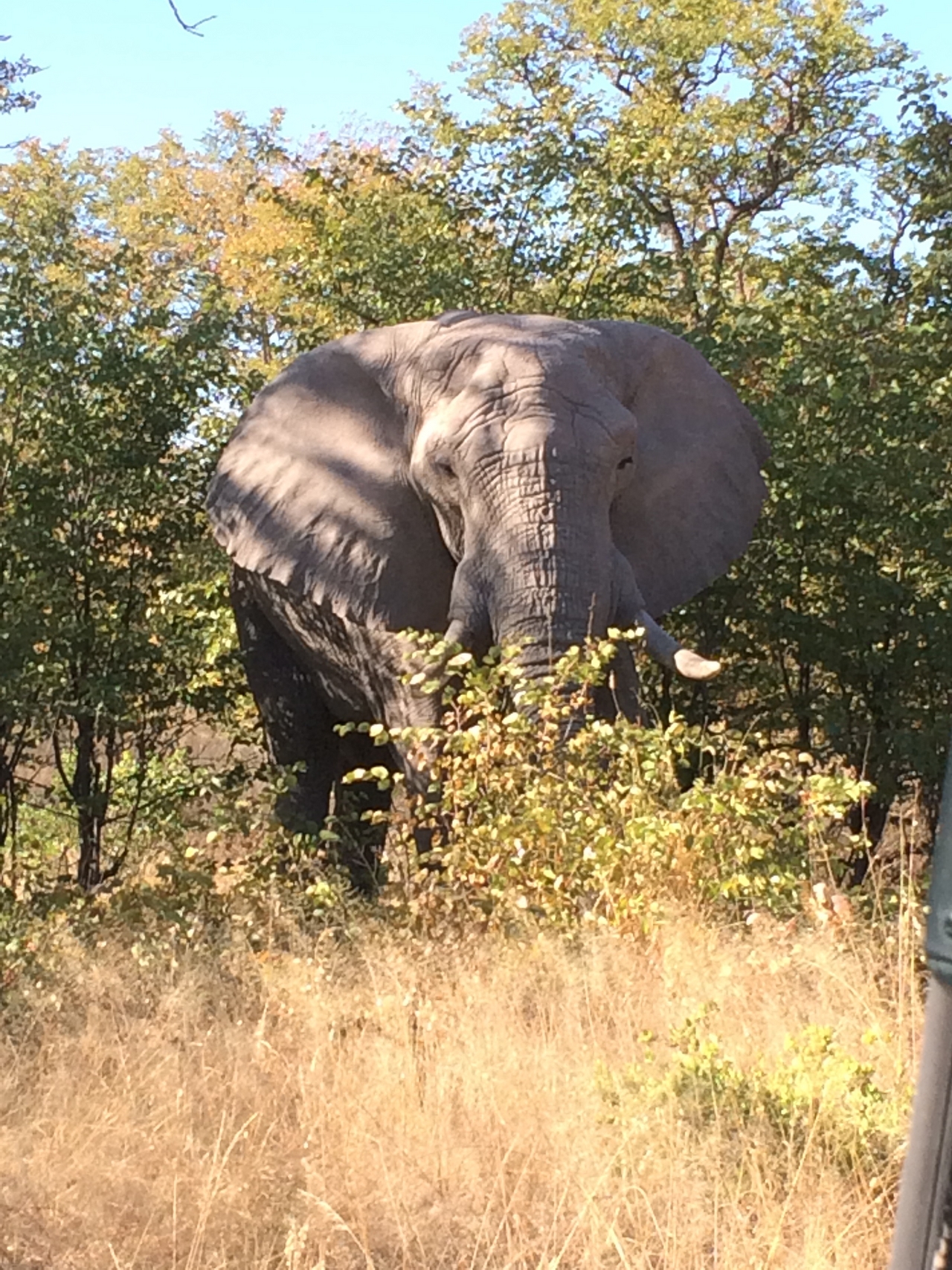 [17067] 2016_06_27_09_26_10_Africa_iPhone_5s_IMG_8446_00719.jpg