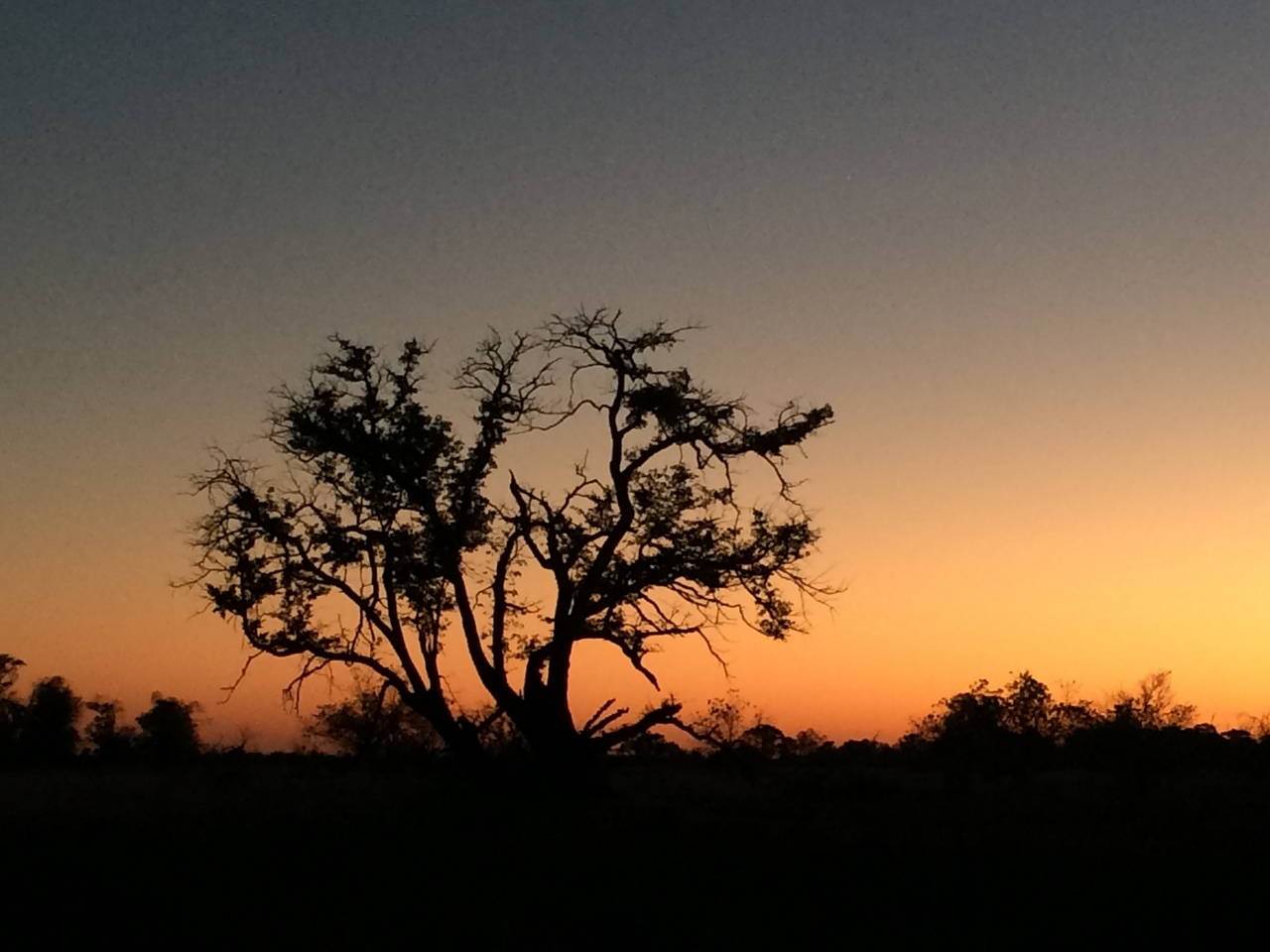 [17174] 2016_06_27_12_22_48_Africa_iPhone_5s_IMG__06362.jpg