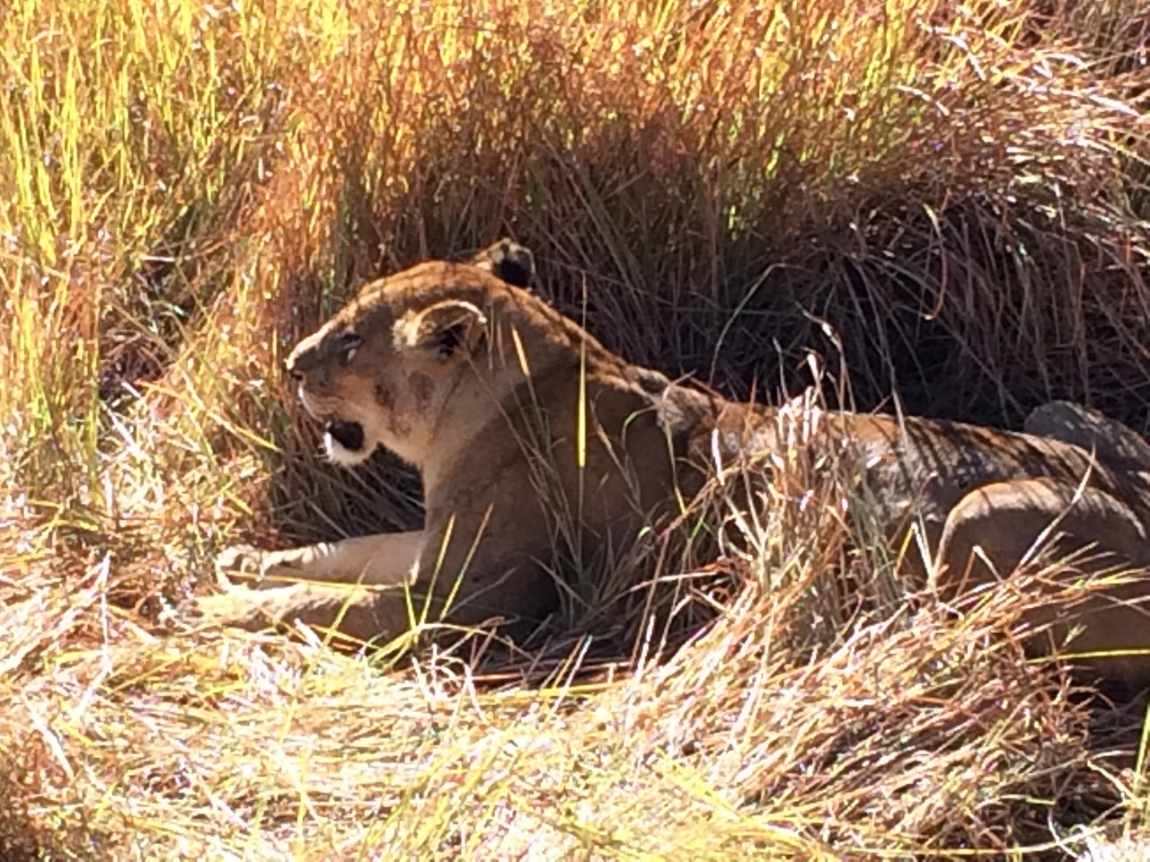 [18986] 2016_06_28_04_20_58_Africa_iPhone_5s_IMG_8475_06373.jpg