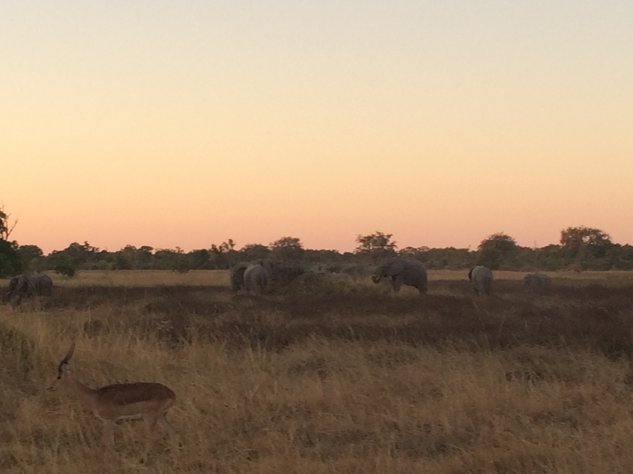 [20198] 2016_06_28_11_54_41_Africa_iPhone_5s_IMG__00785.jpg