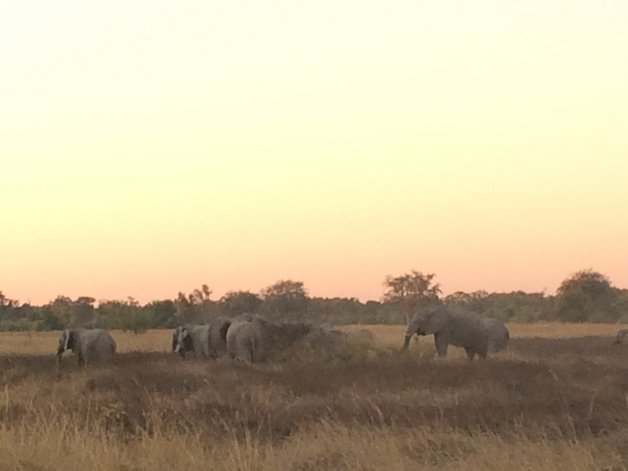[20202] 2016_06_28_11_55_05_Africa_iPhone_5s_IMG__00786.jpg