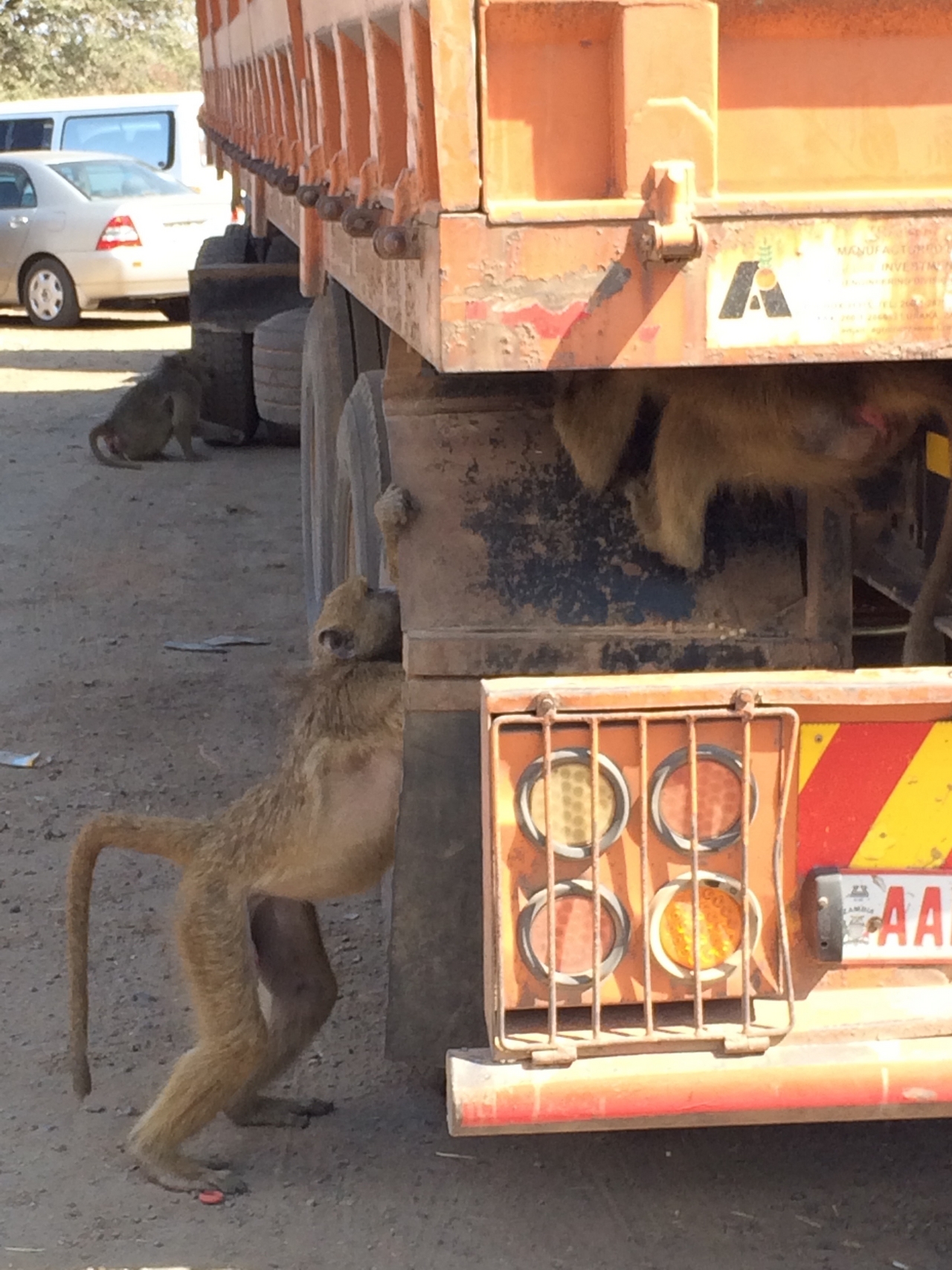 [31211] 2016_07_03_06_20_50_Africa_iPhone_5s_IMG__06445.jpg