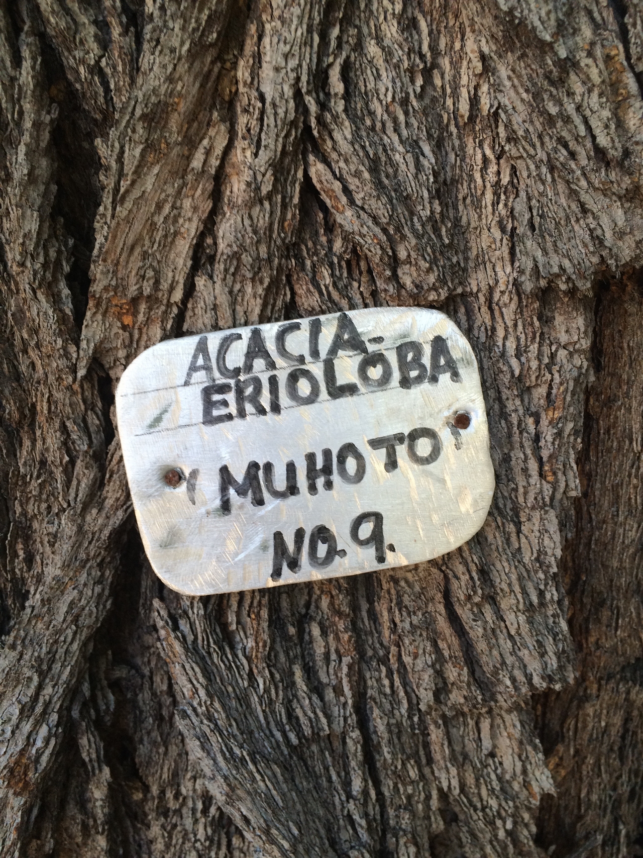 [32821] 2016_07_04_05_04_08_Africa_iPhone_5s_IMG__00895.jpg