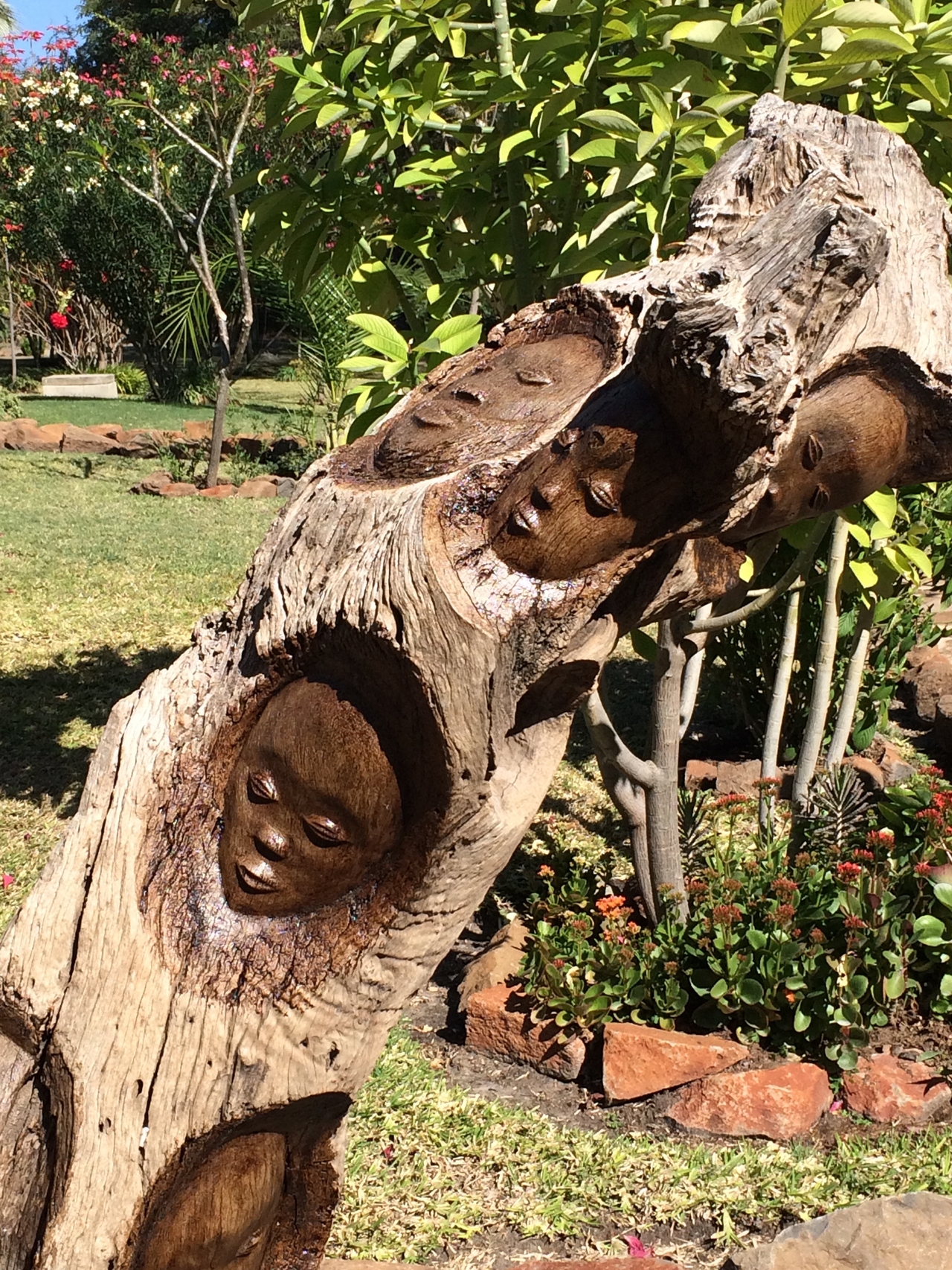 [34458] 2016_07_05_04_23_00_Africa_iPhone_5s_IMG__06562.jpg