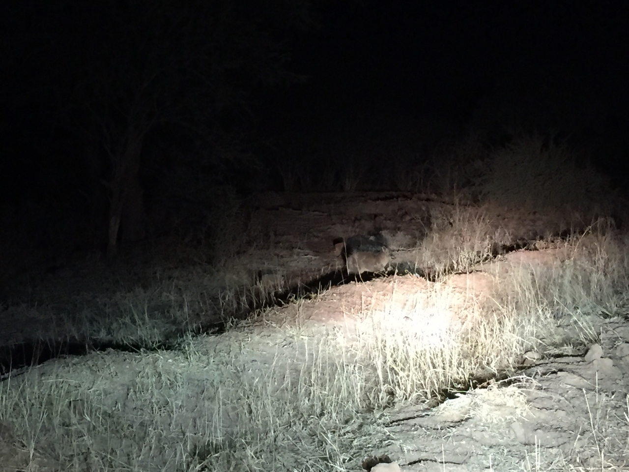 [376] 2016_06_21_18_16_31_Africa_iPhone_6_IMG_7543_02482.jpg