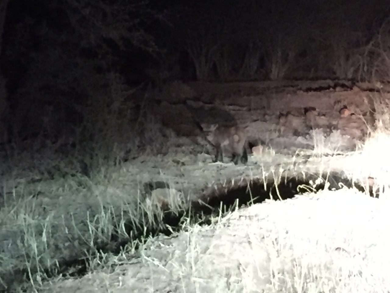 [377] 2016_06_21_18_16_46_Africa_iPhone_6_IMG_7544_00142.jpg