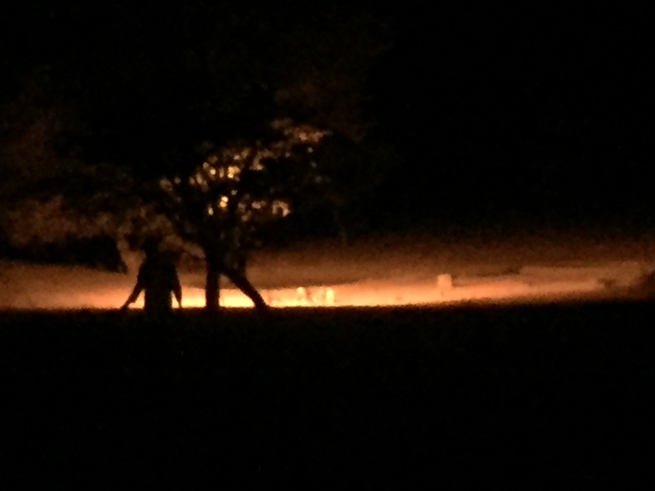 [421] 2016_06_21_21_09_58_Africa_iPhone_6_IMG_7564_00161.jpg