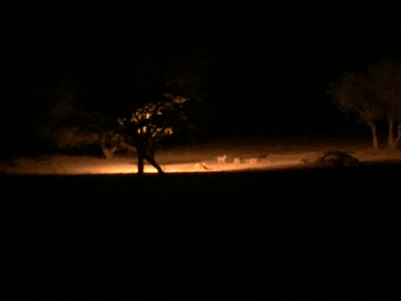 [428] 2016_06_21_21_11_25_Africa_iPhone_6_IMG_7565_02503.jpg