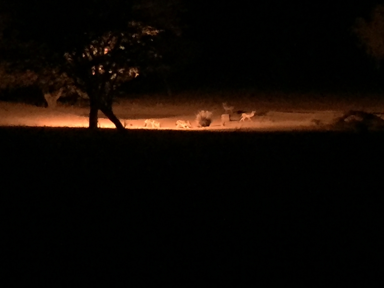 [431] 2016_06_21_21_12_16_Africa_iPhone_6_IMG_7566_00163.jpg