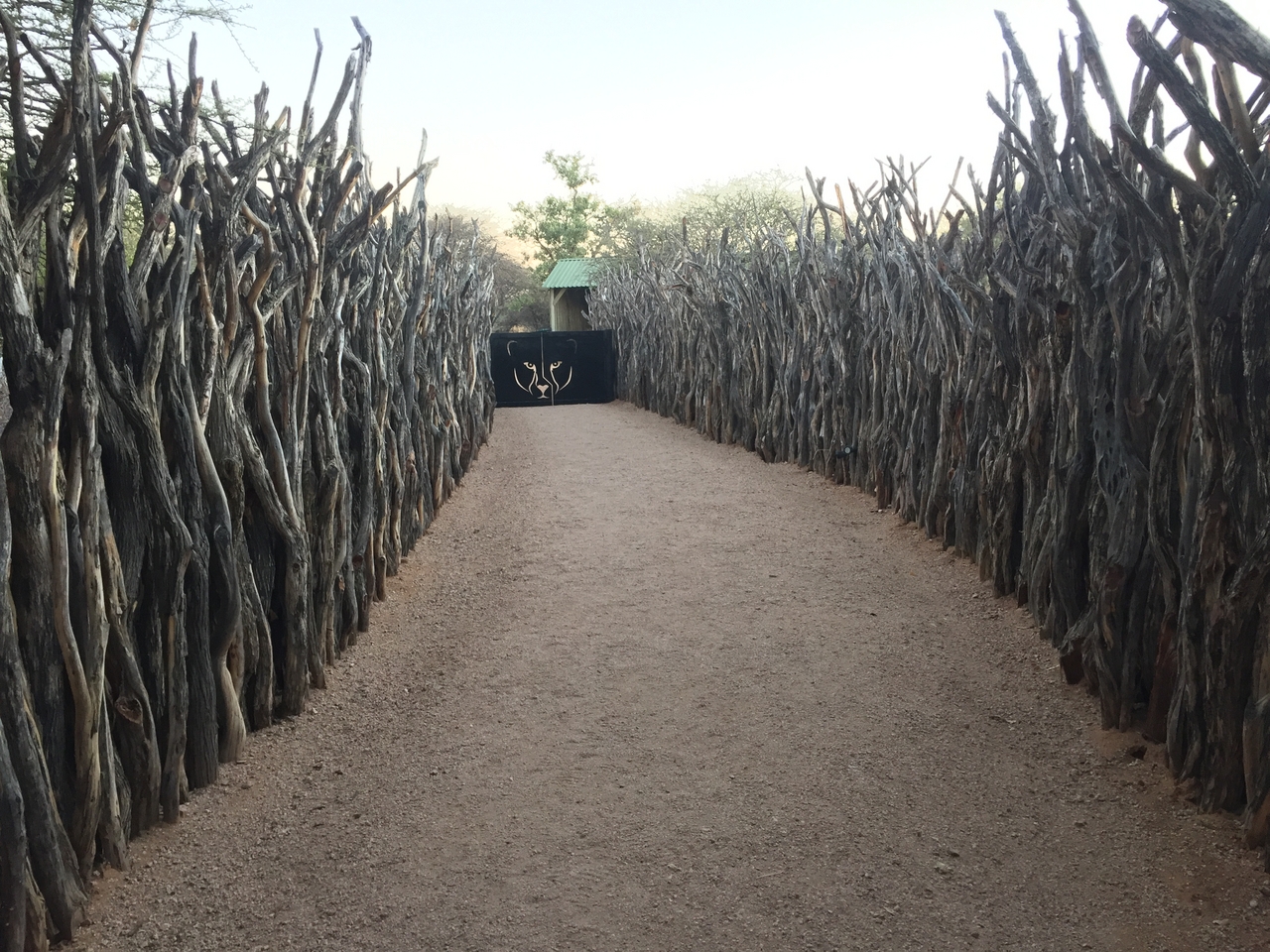 [2206] 2016_06_22_06_27_11_Africa_iPhone_6_IMG_7572_00169.jpg