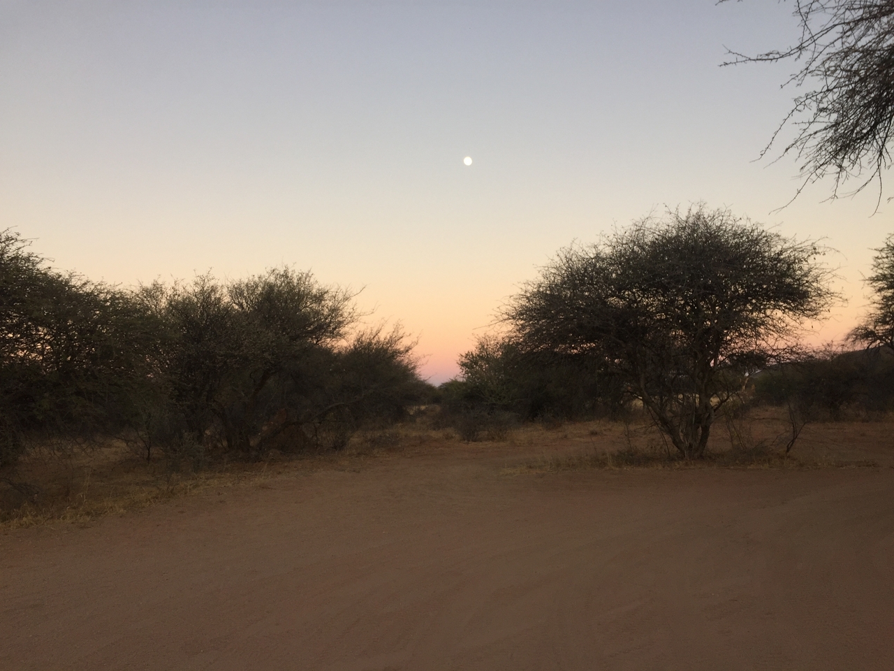 [2208] 2016_06_22_06_28_10_Africa_iPhone_6_IMG_7573_00170.jpg