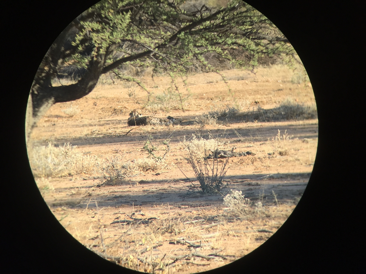 [2323] 2016_06_22_07_43_48_Africa_iPhone_6_IMG_7575_02513.jpg