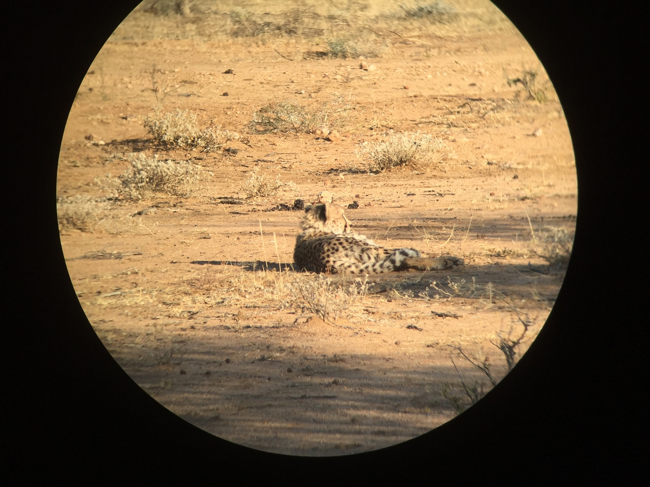 [2335] 2016_06_22_07_45_45_Africa_iPhone_6_IMG_7577_00174.jpg