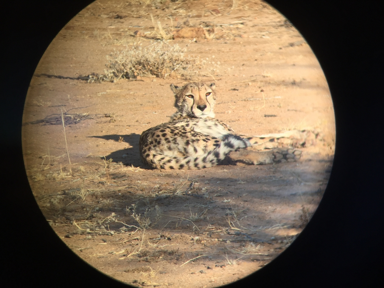 [2343] 2016_06_22_07_46_33_Africa_iPhone_6_IMG_7581_00178.jpg