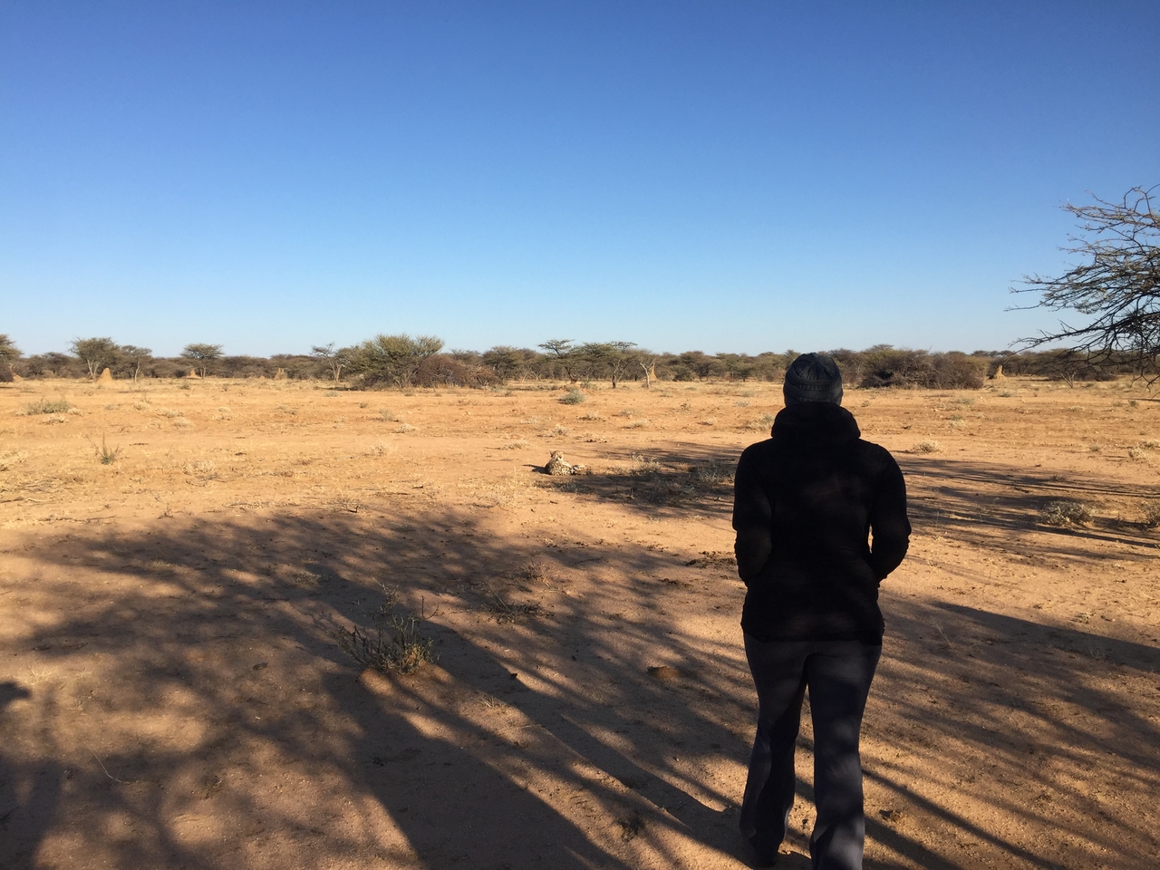 [2352] 2016_06_22_07_47_30_Africa_iPhone_6_IMG_7585_02523.jpg