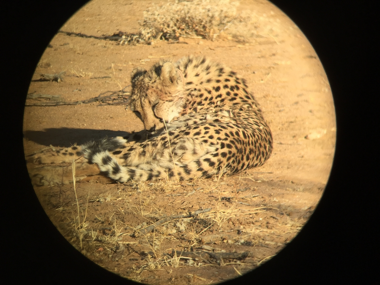 [2368] 2016_06_22_07_50_26_Africa_iPhone_6_IMG_7593_02531.jpg