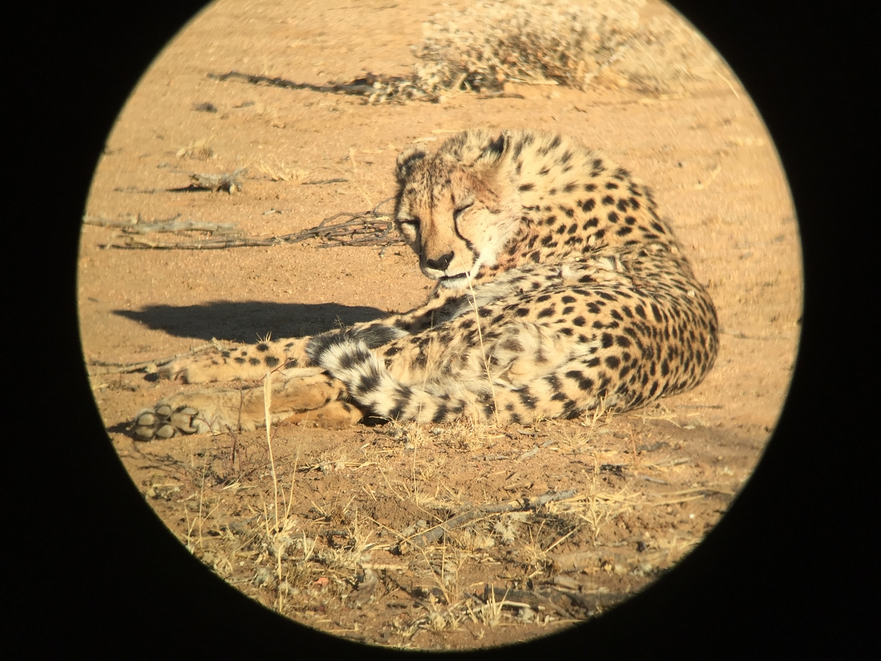 [2375] 2016_06_22_07_51_10_Africa_iPhone_6_IMG_7597_00194.jpg