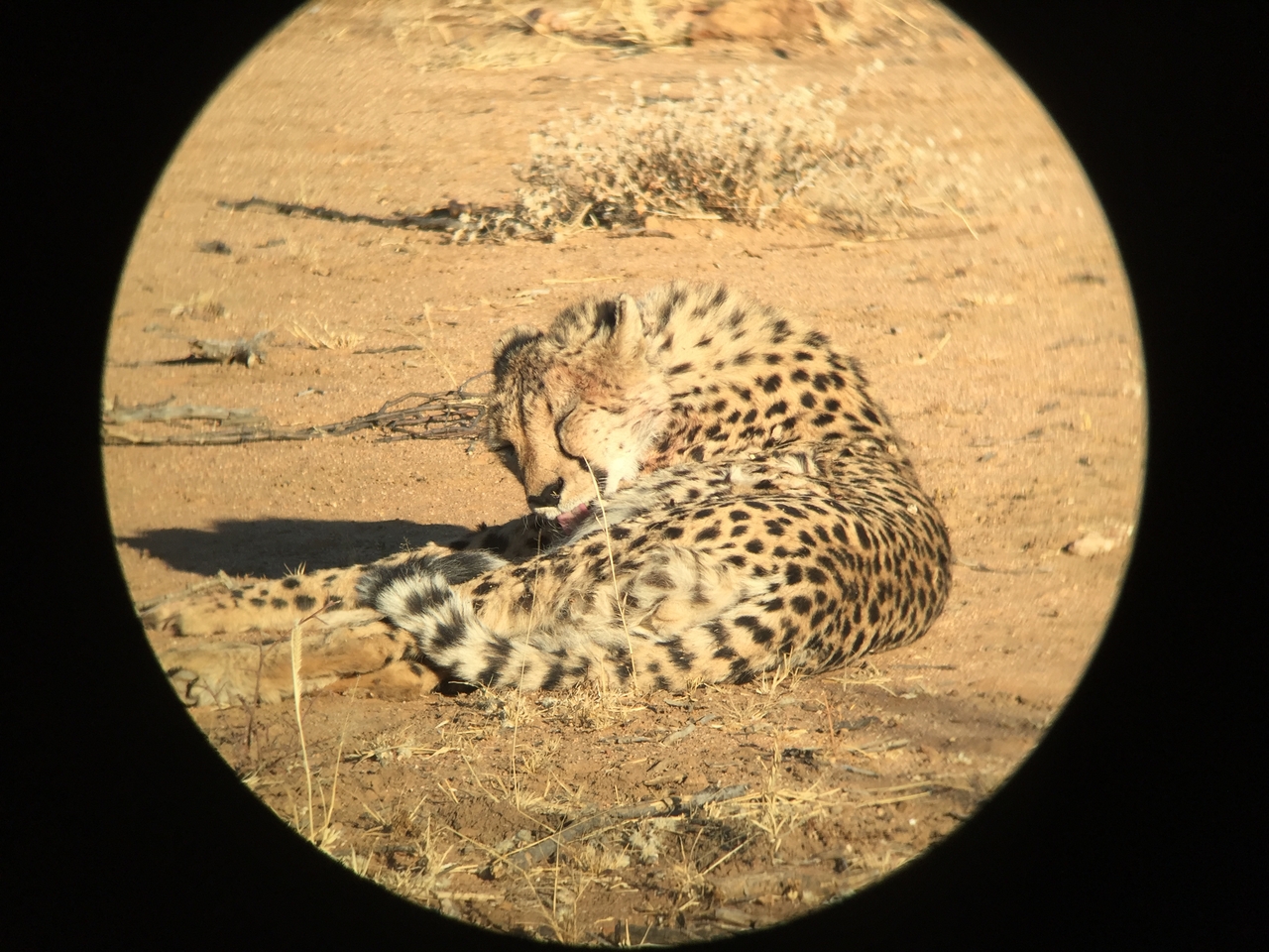 [2377] 2016_06_22_07_51_14_Africa_iPhone_6_IMG_7598_00195.jpg