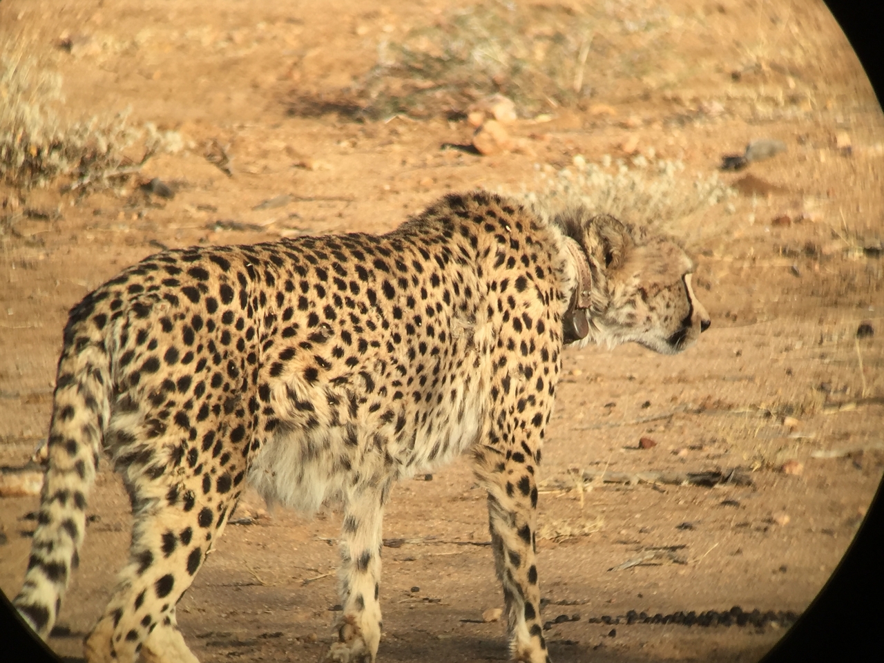 [2386] 2016_06_22_07_52_12_Africa_iPhone_6_IMG_7602_02540.jpg